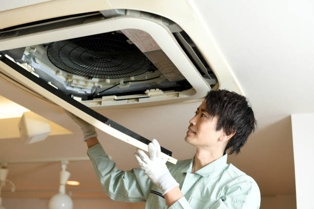 Best Local Air Duct Cleaning Services  in Rlborough, MA